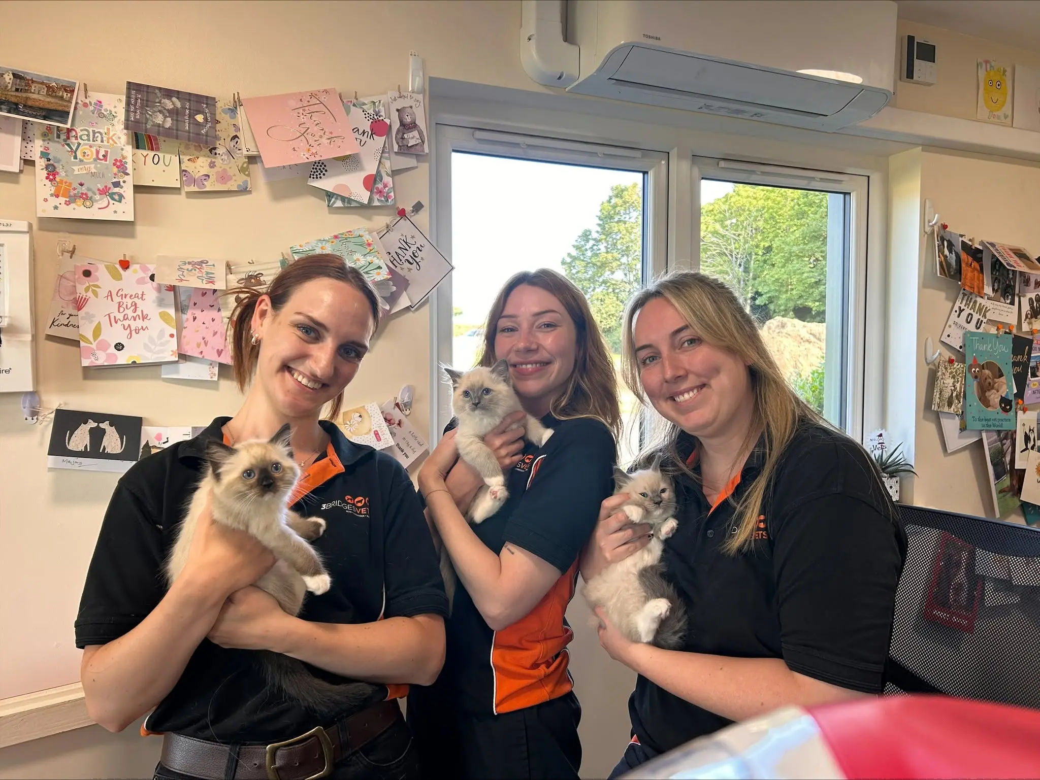 3 Bridges Vets practice photo