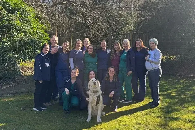 Medivet - 24 Hour Faygate (Seers Croft Veterinary Surgery) practice photo 2