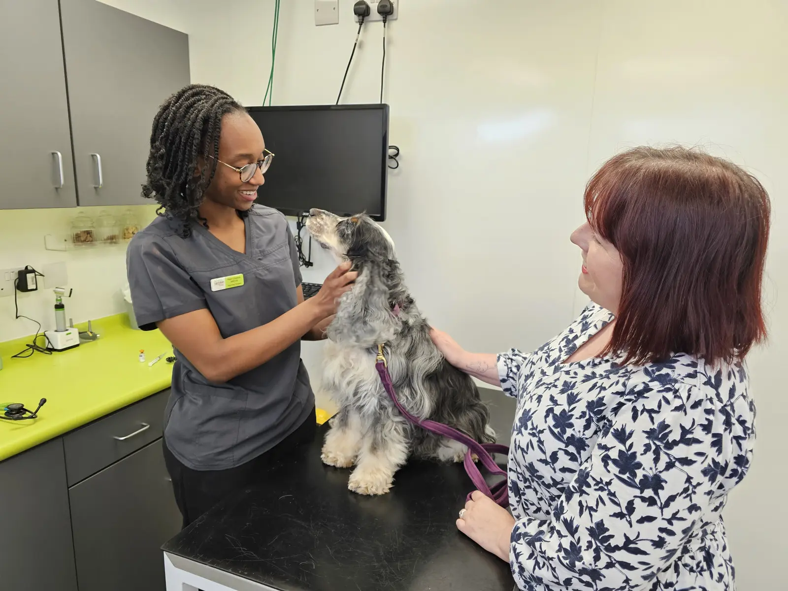 Acorn House Vets practice photo