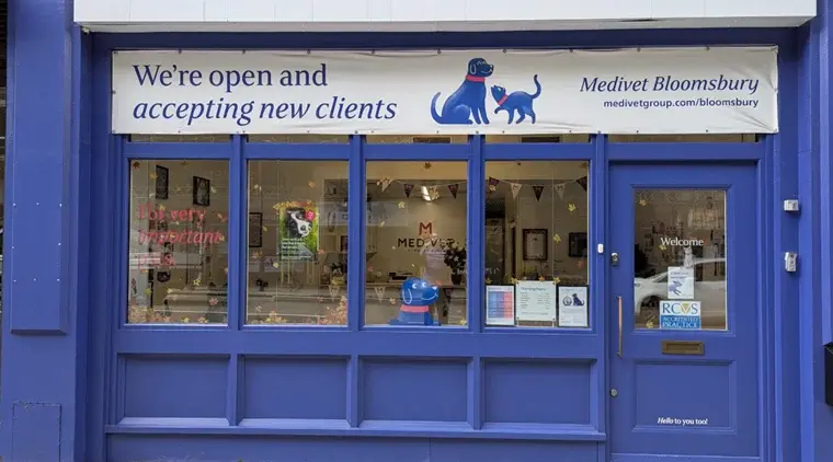 Medivet - Bloomsbury practice photo