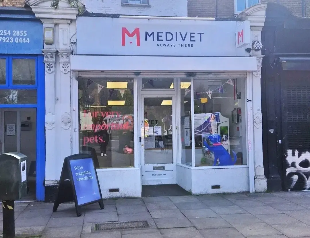 Medivet - Dalston practice photo