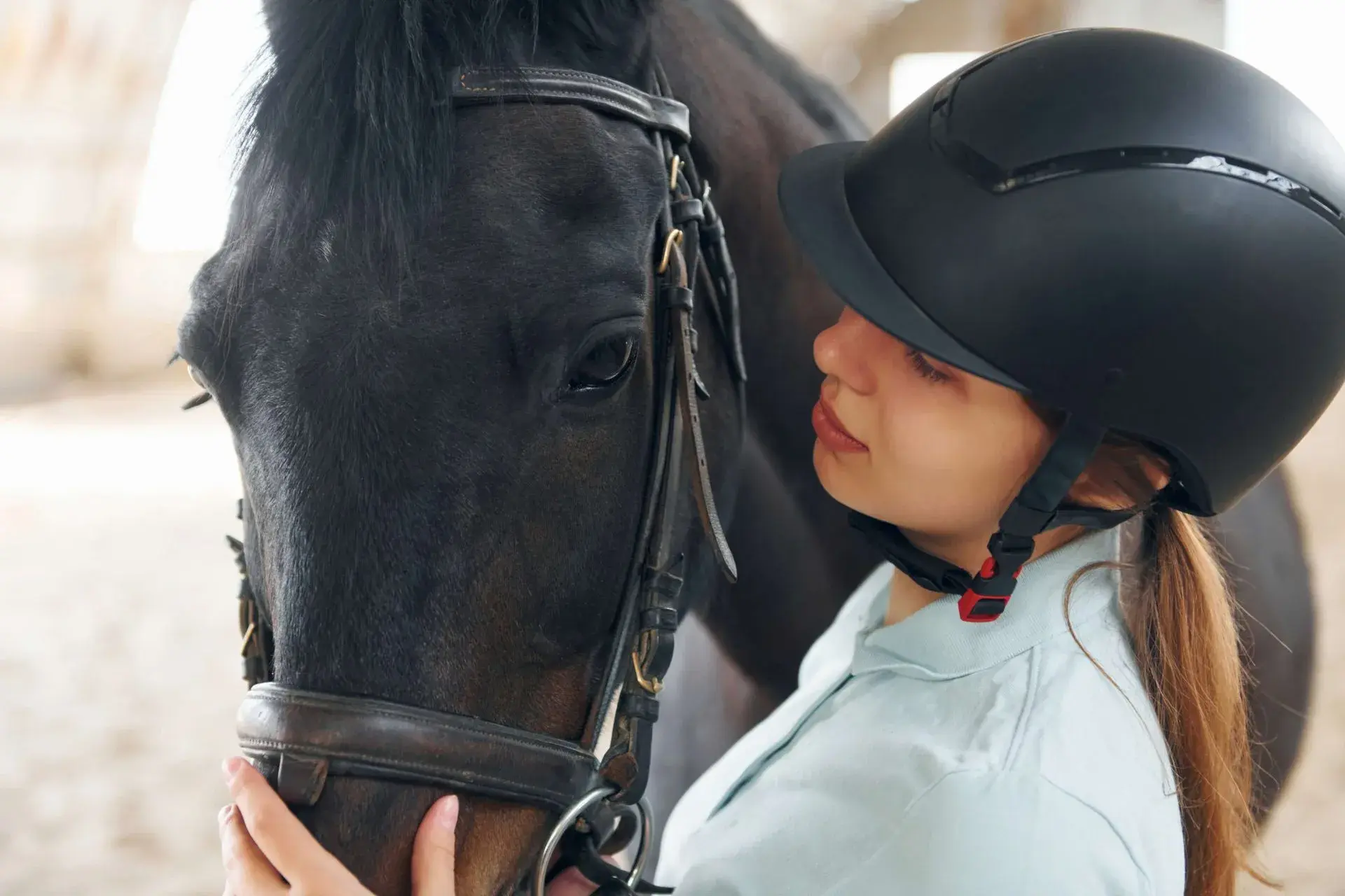 Epona Equine Vets practice photo 2