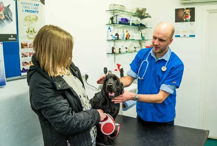 Veterinary Practice