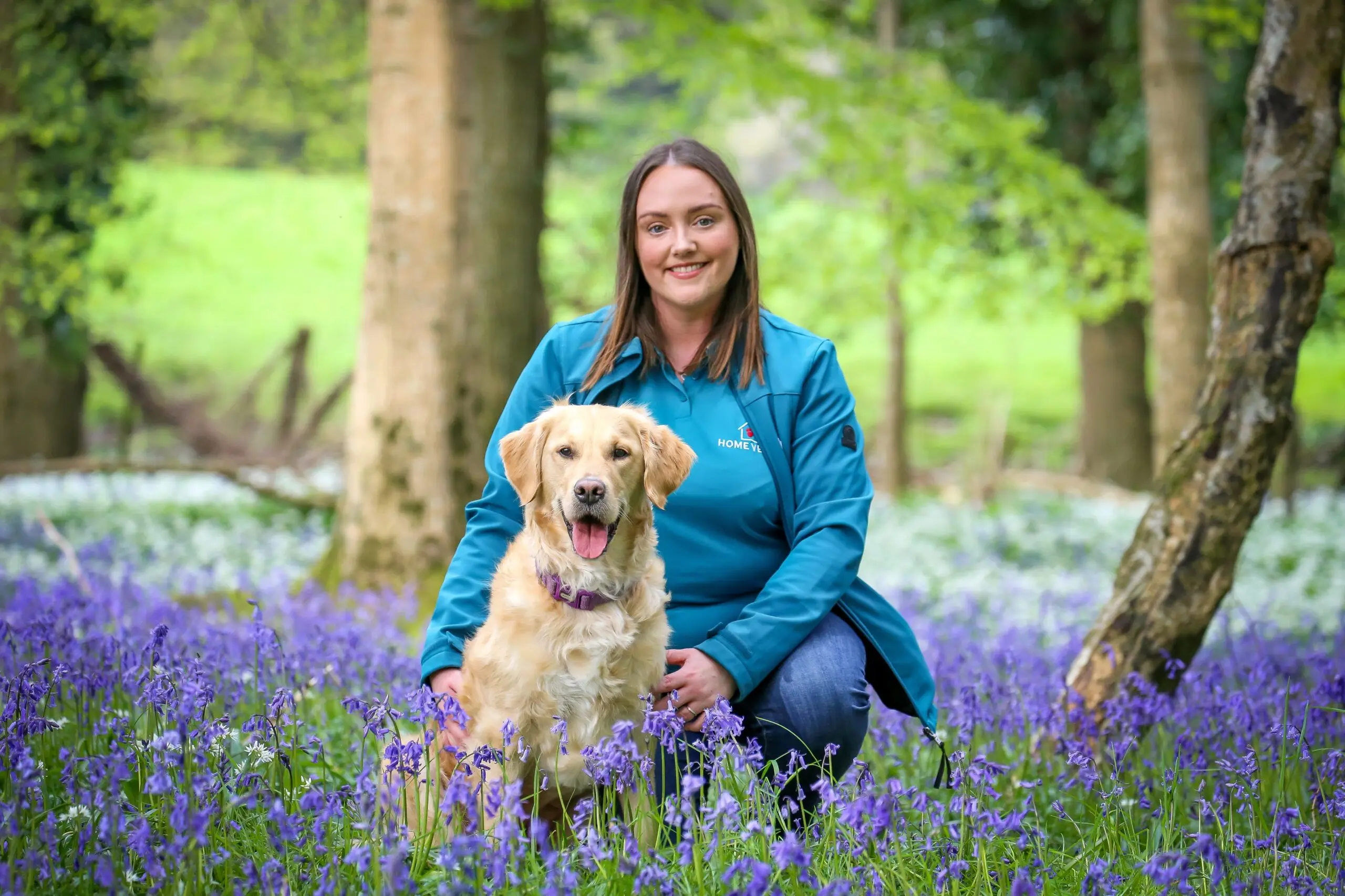 Home Vet NI practice photo