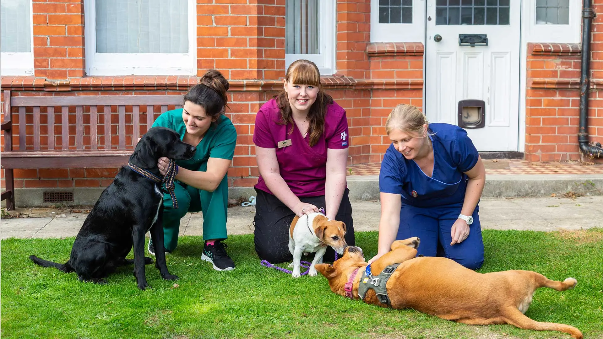 Forest Lodge Vets - Lymington practice photo