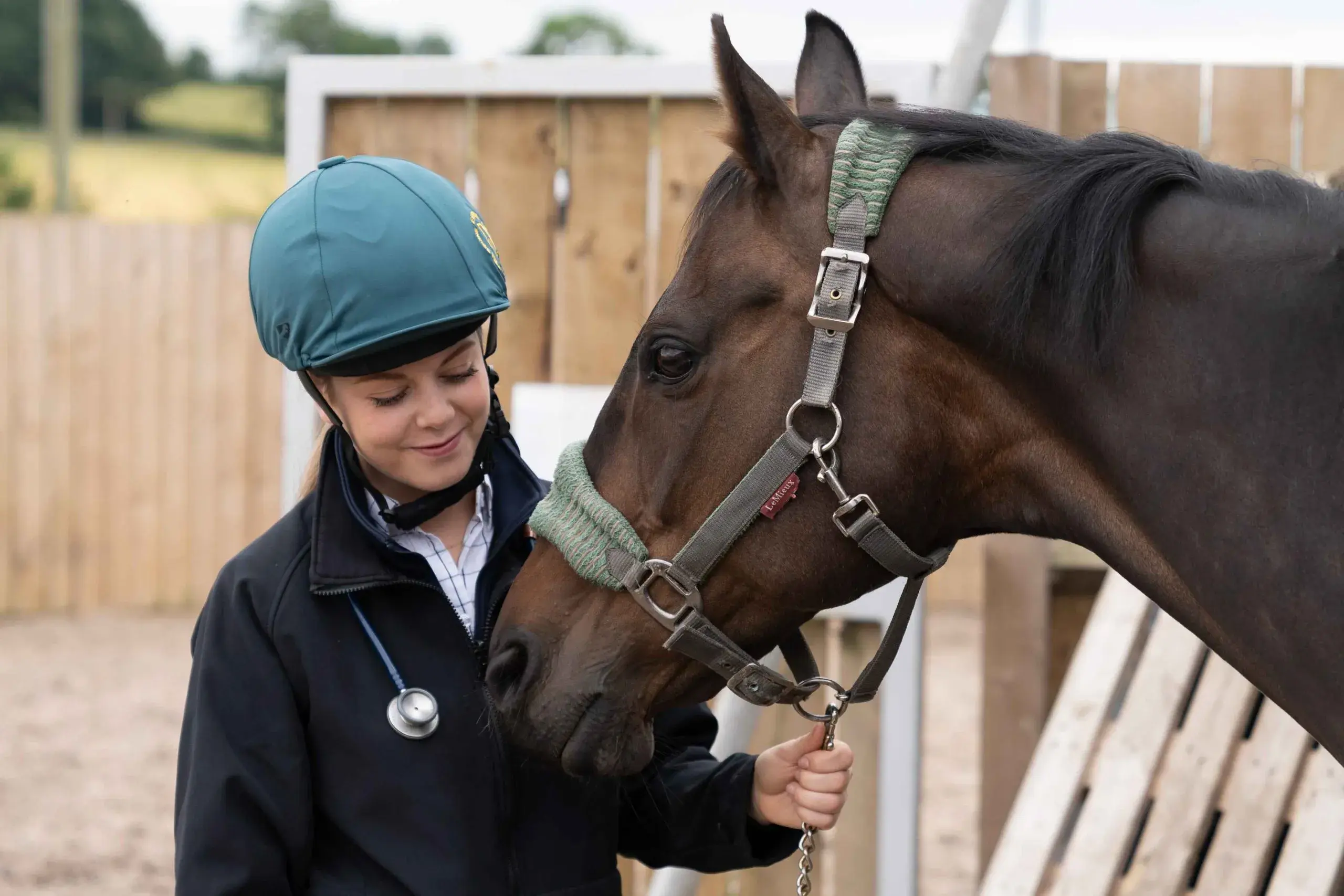 Equine Veterinary Centre practice photo 2