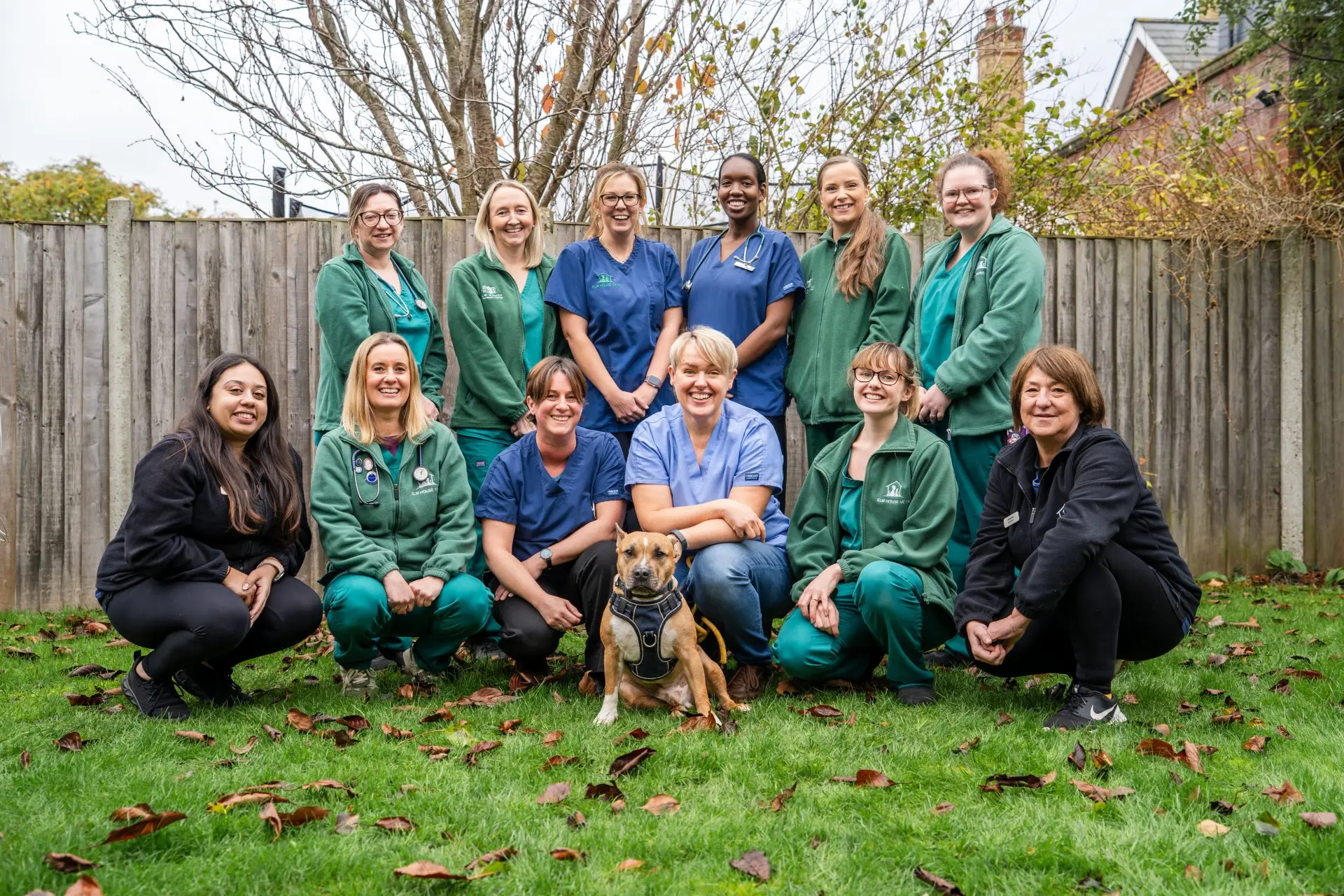 Elm House Veterinary Centre practice photo
