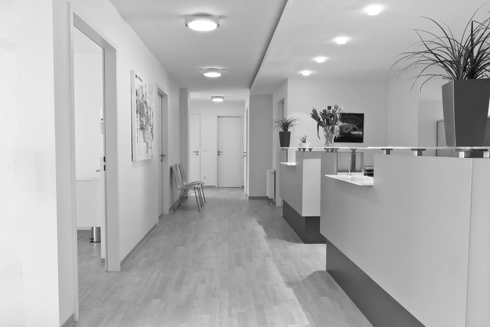 O'Gorman Equine Veterinary practice photo