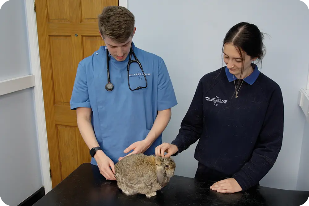 Pet Care Vets practice photo 3