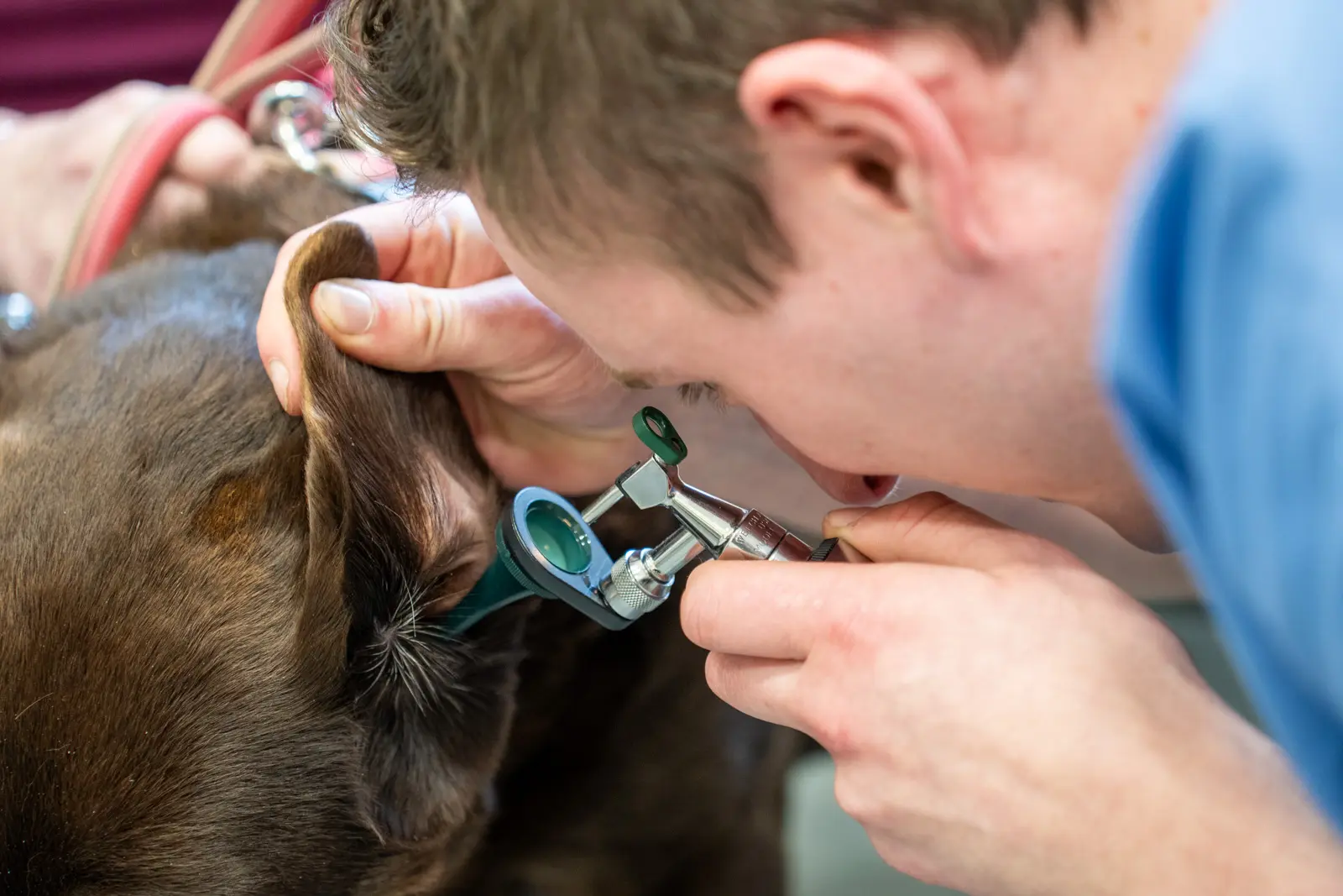 The Willows Veterinary Group - Lymm (Web) 025