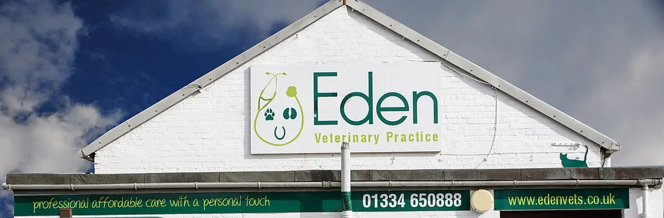 Eden Veterinary Practice practice photo