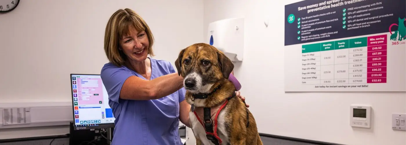 Oakhill Veterinary Centre - Kirkham practice photo