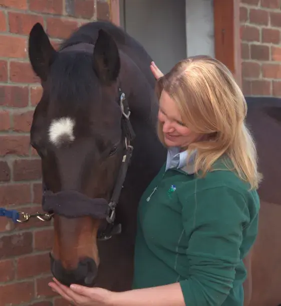 horse care
