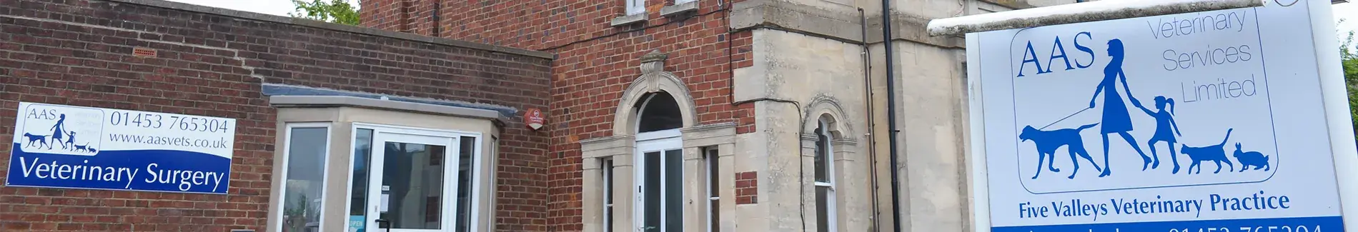 Five Valley Vets Stroud | Vets in Stroud, Gloucestershire | AAS Vets