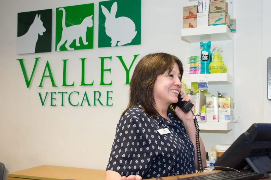 Valley Vetcare practice photo