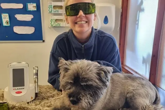 Medivet - Impington (Hollyoak Vets) practice photo 3