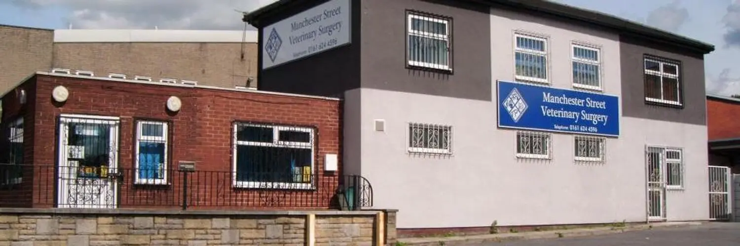 Manchester Street Veterinary Surgery practice photo