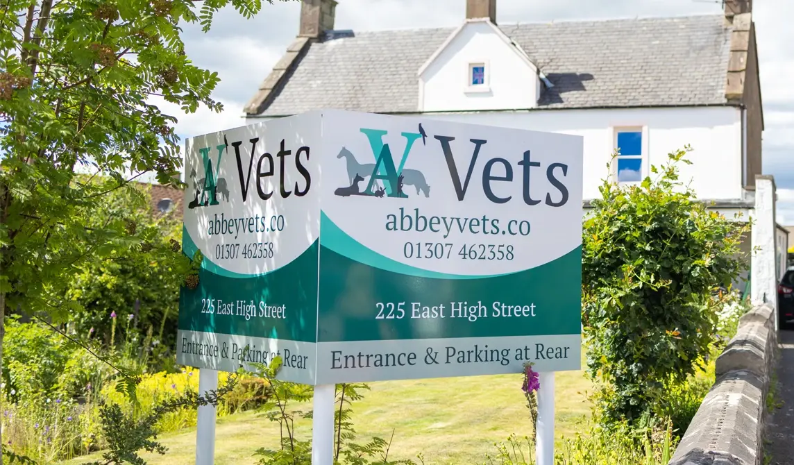 veterinary practice sign