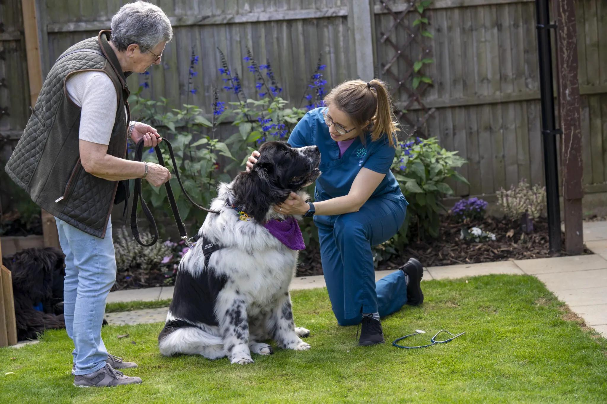 Mulberry House Vets - Binfield practice photo 3