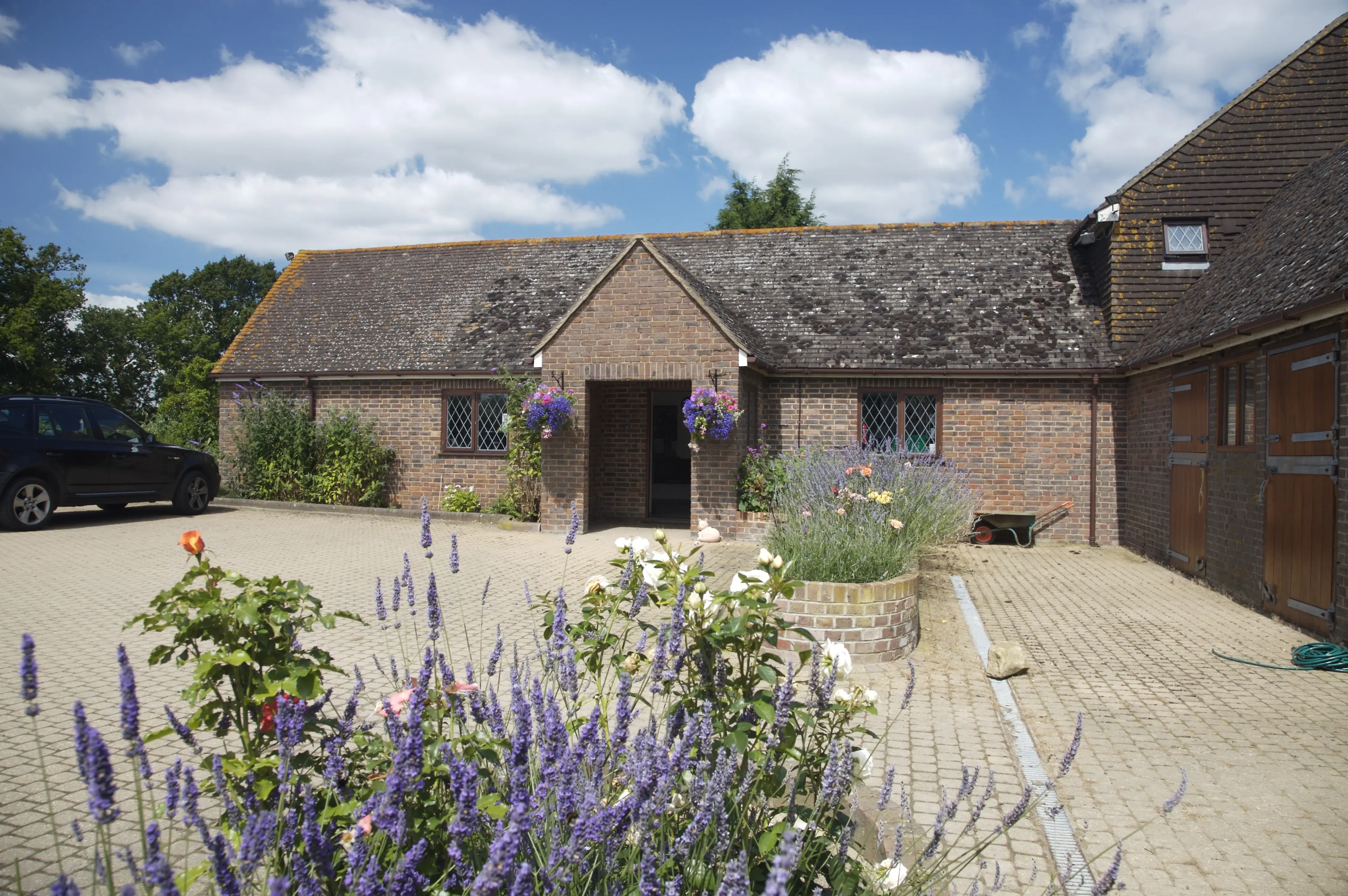 Medivet - Edenbridge (Lingfield Lodge Veterinary Clinic) practice photo
