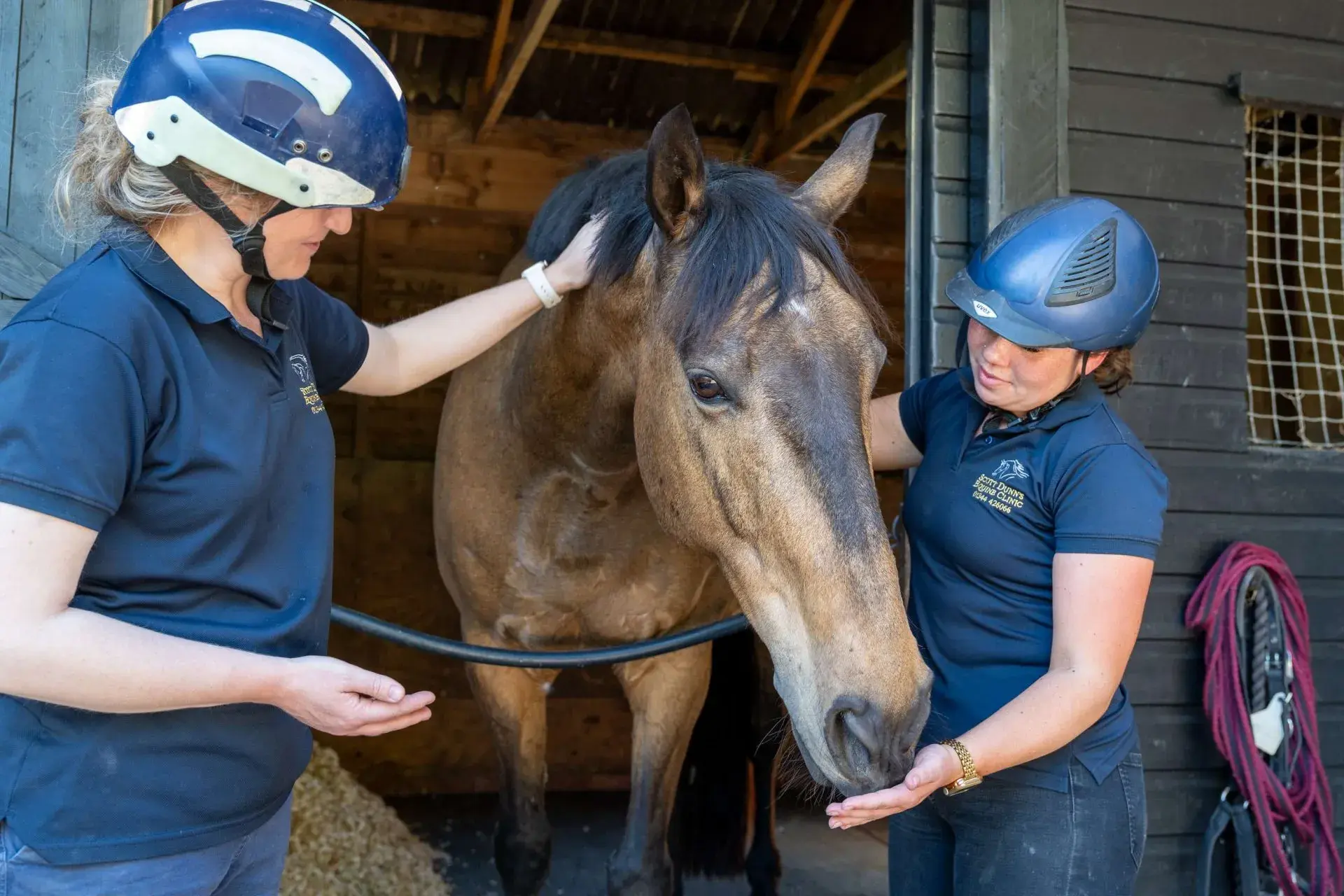 Scott Dunn's Veterinary Clinic practice photo 4