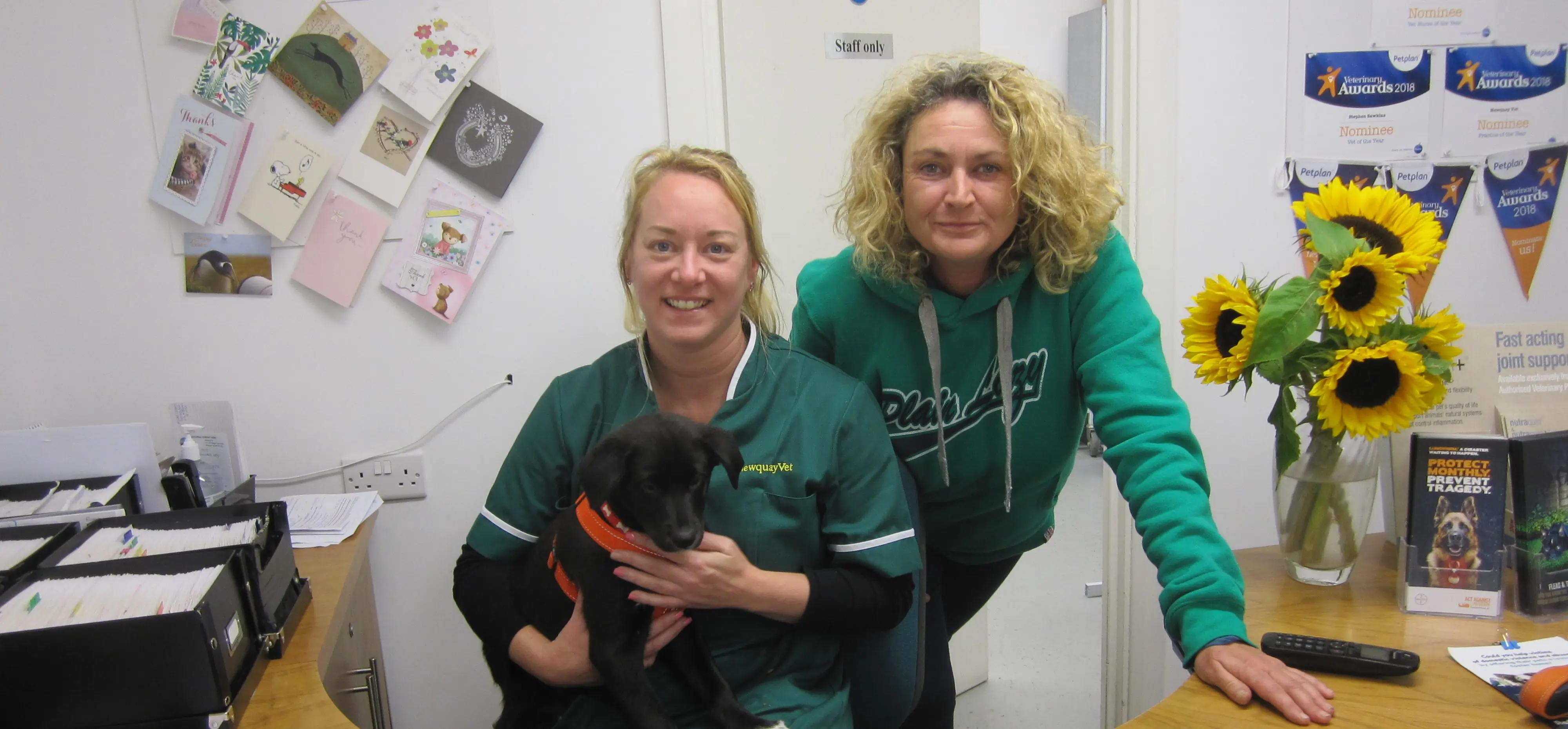 Newquay Vet practice photo