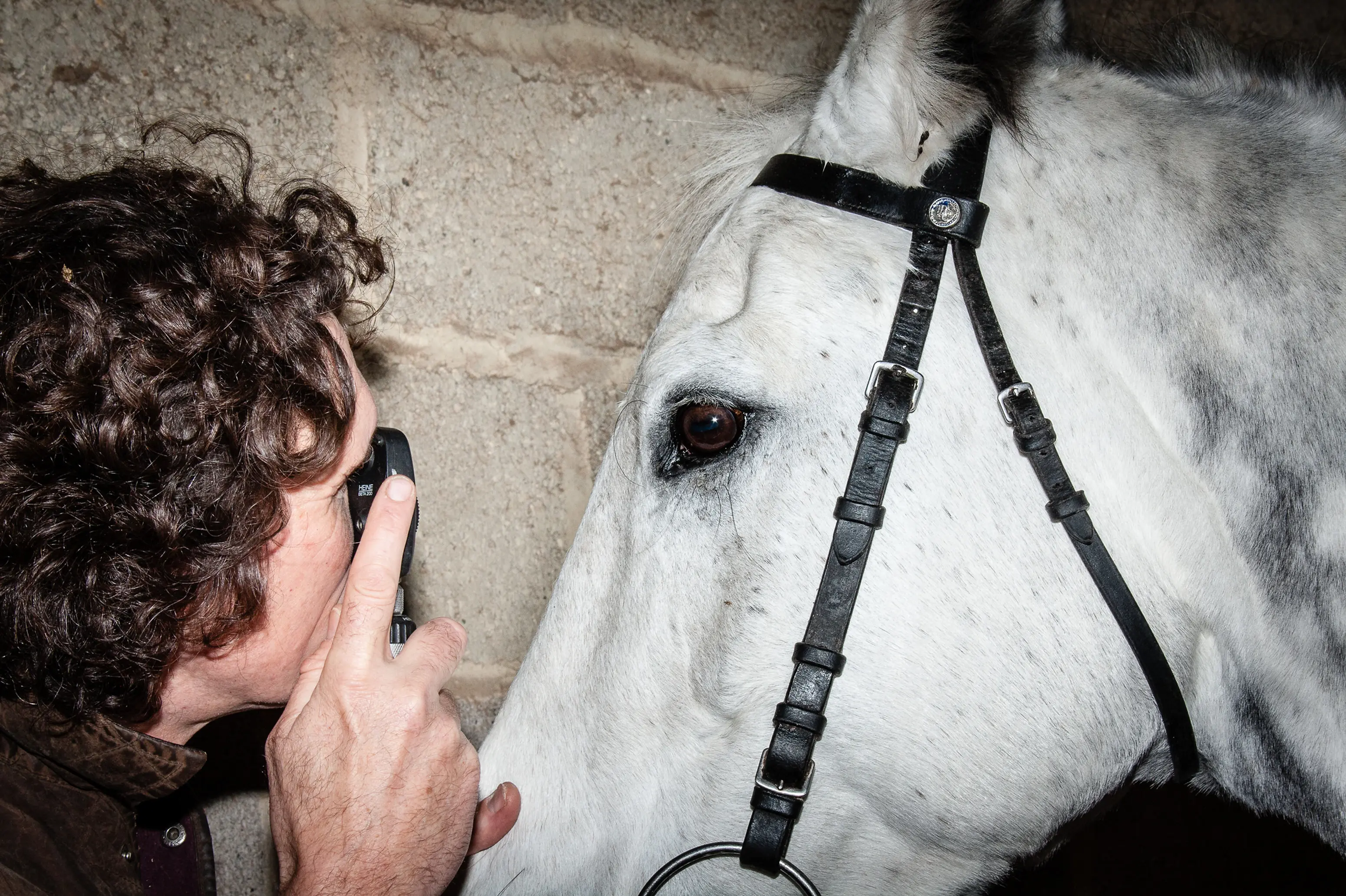 Plain Equine Veterinary Clinic practice photo