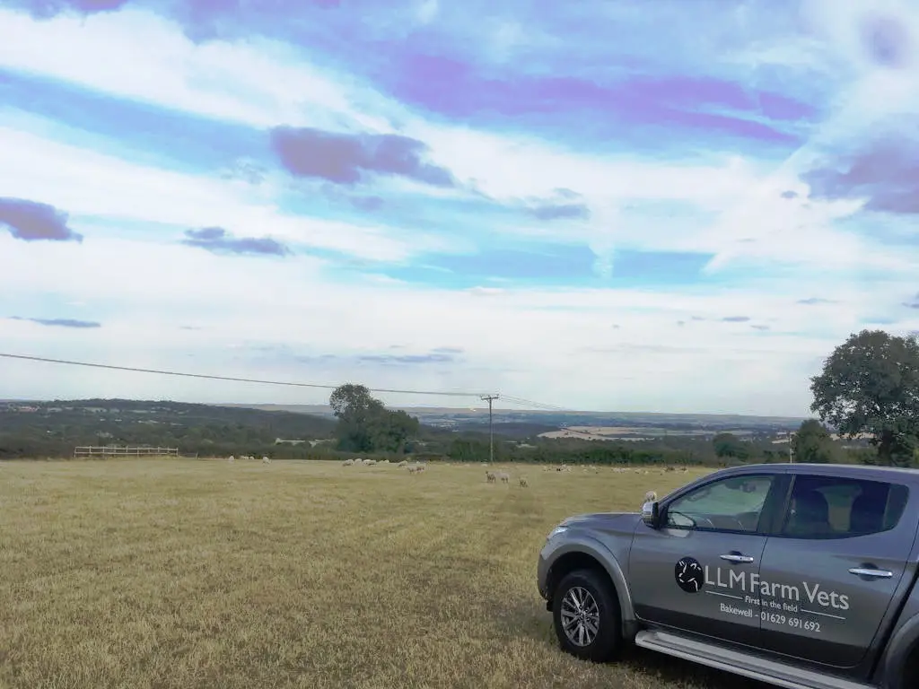 LLM Farm Vets Derbyshire