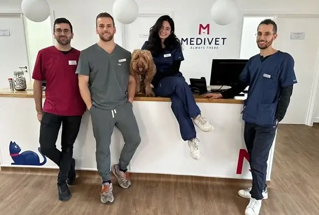 Medivet - 24 Hour Camberwell practice photo