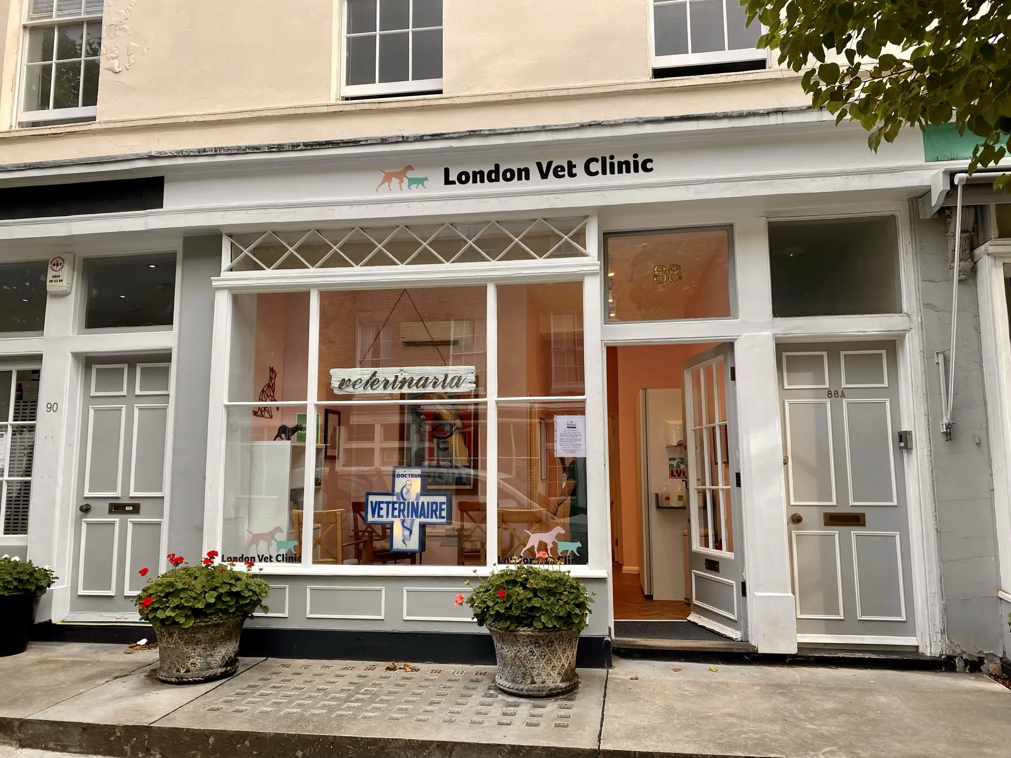London Vet Clinic practice photo
