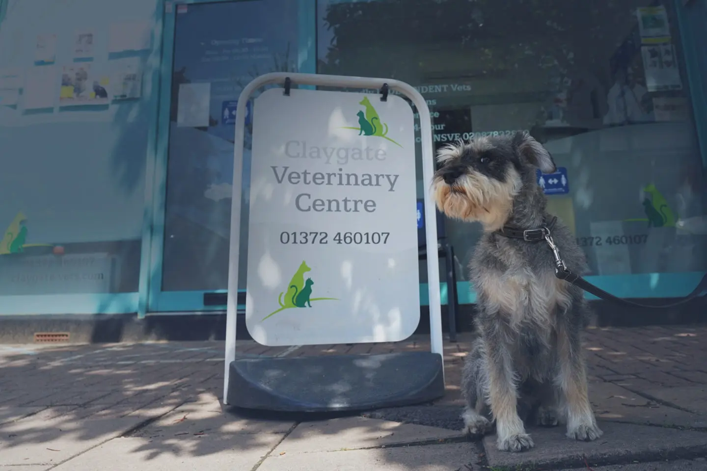 Claygate Vets practice photo