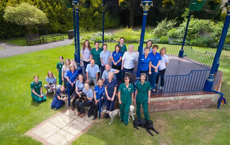 Staff and dogs at Bicester Vets