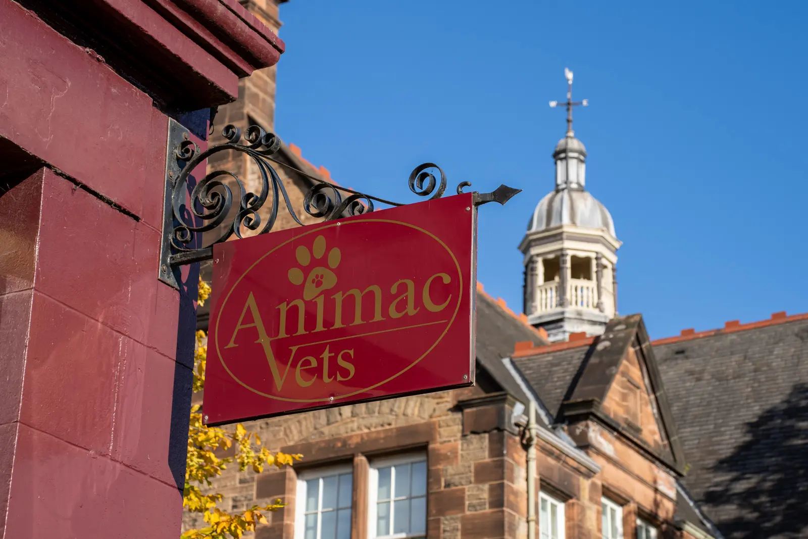 Animac Vets (Web) 013