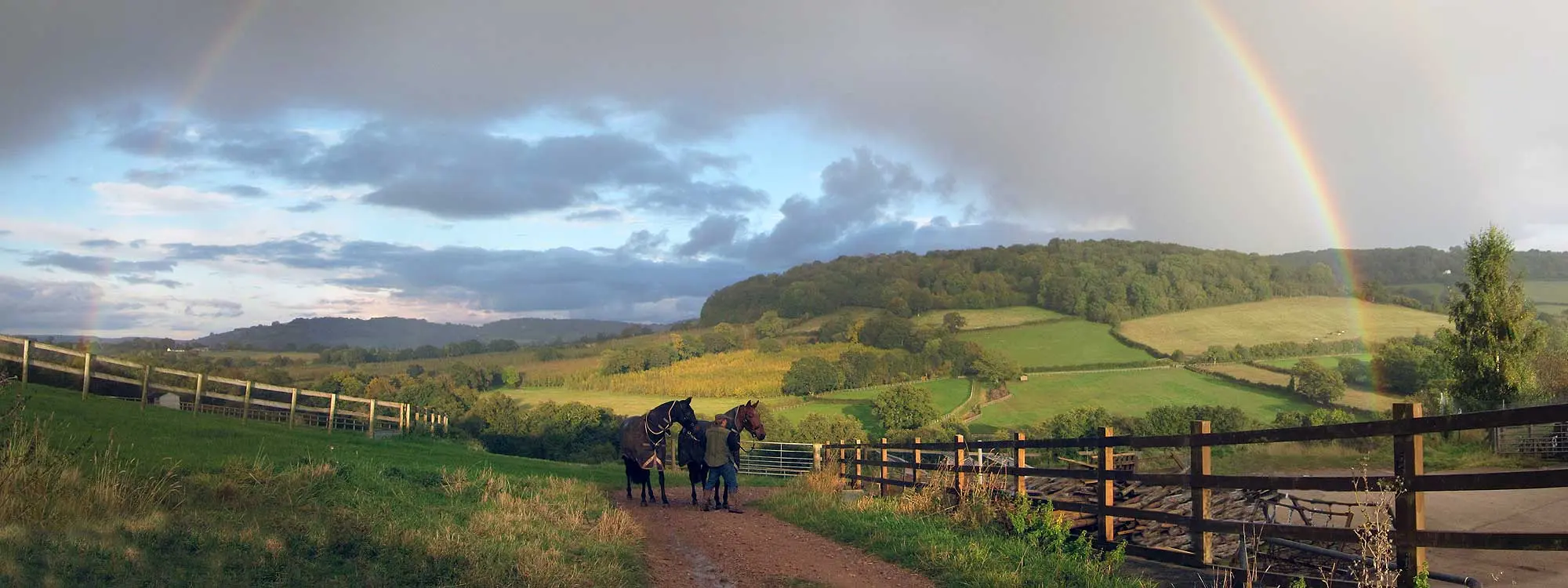 Abbey Equine - Chepstow practice photo 4