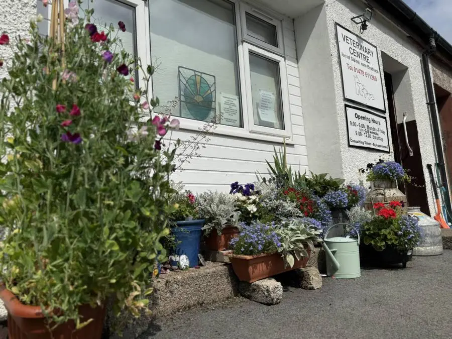 Rhona Campbell Veterinary Surgeon practice photo