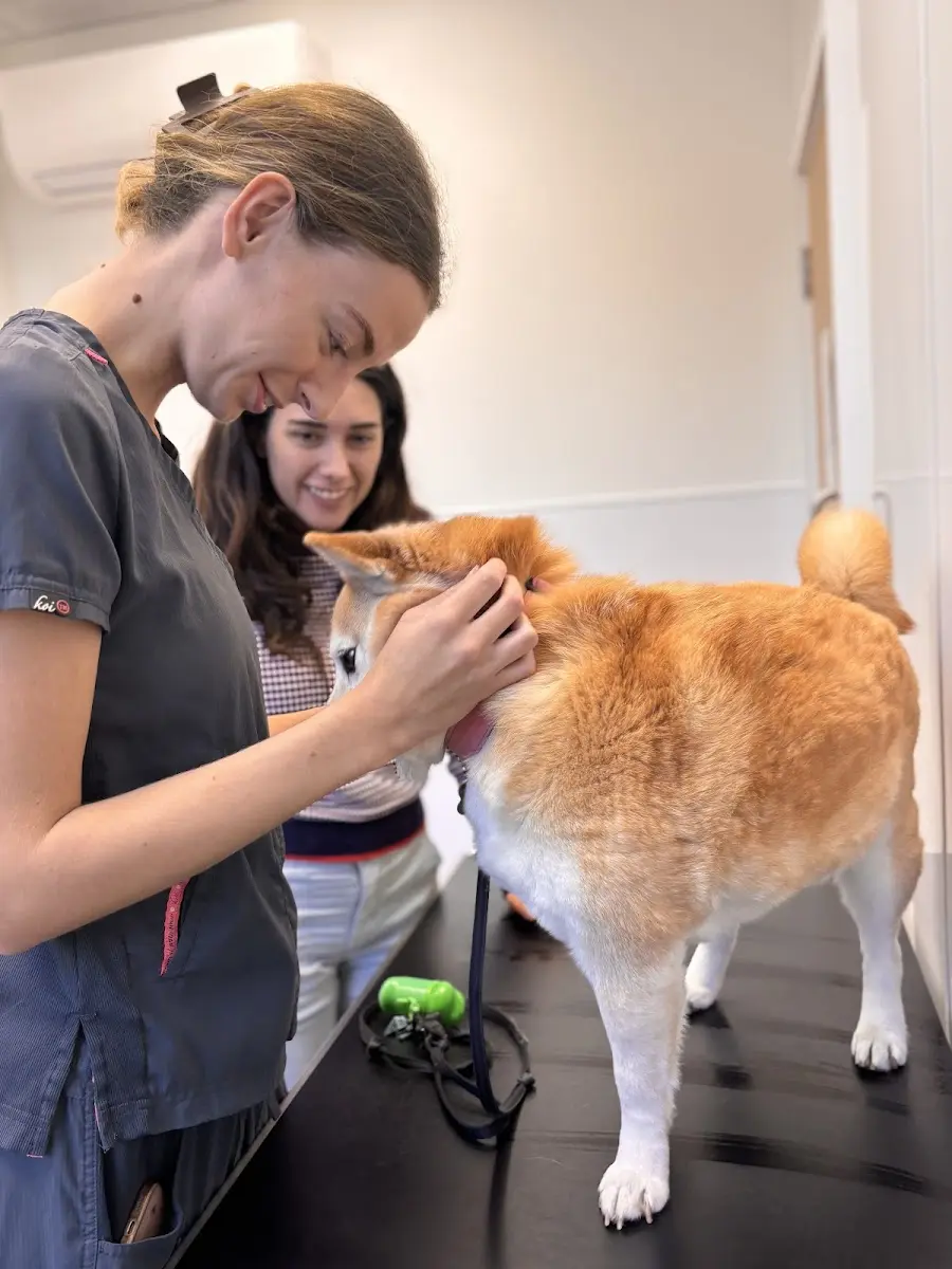 PetPeople Vets - East Sheen Google Places photo 5 (Photo: PetPeople Vets - East Sheen)