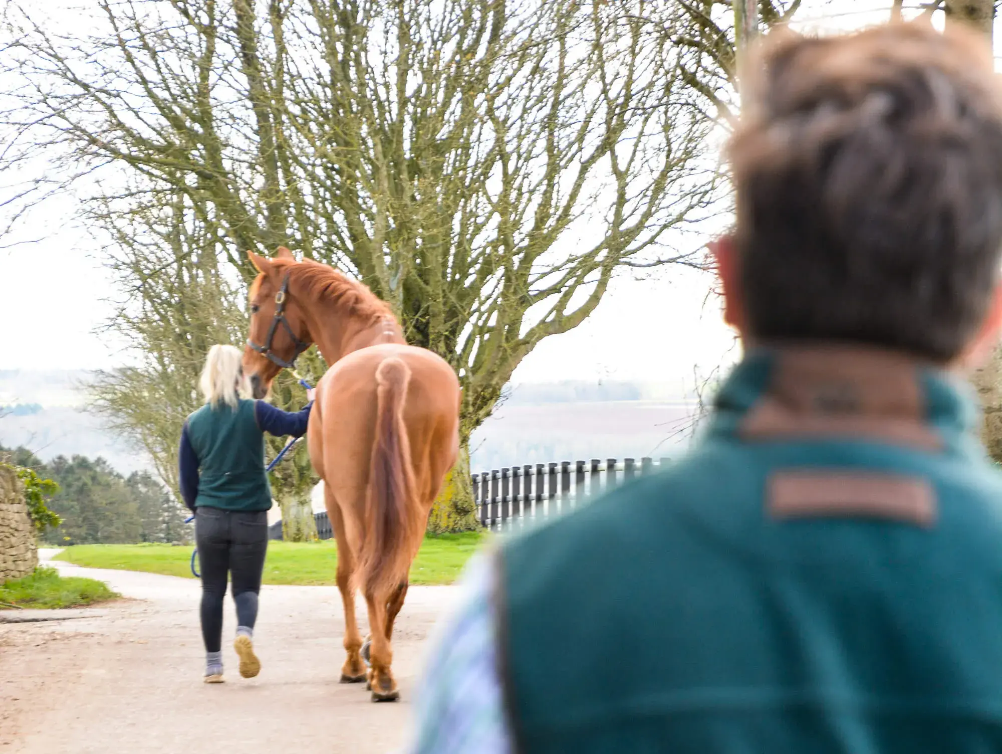 Summerhill Equine Vets practice photo