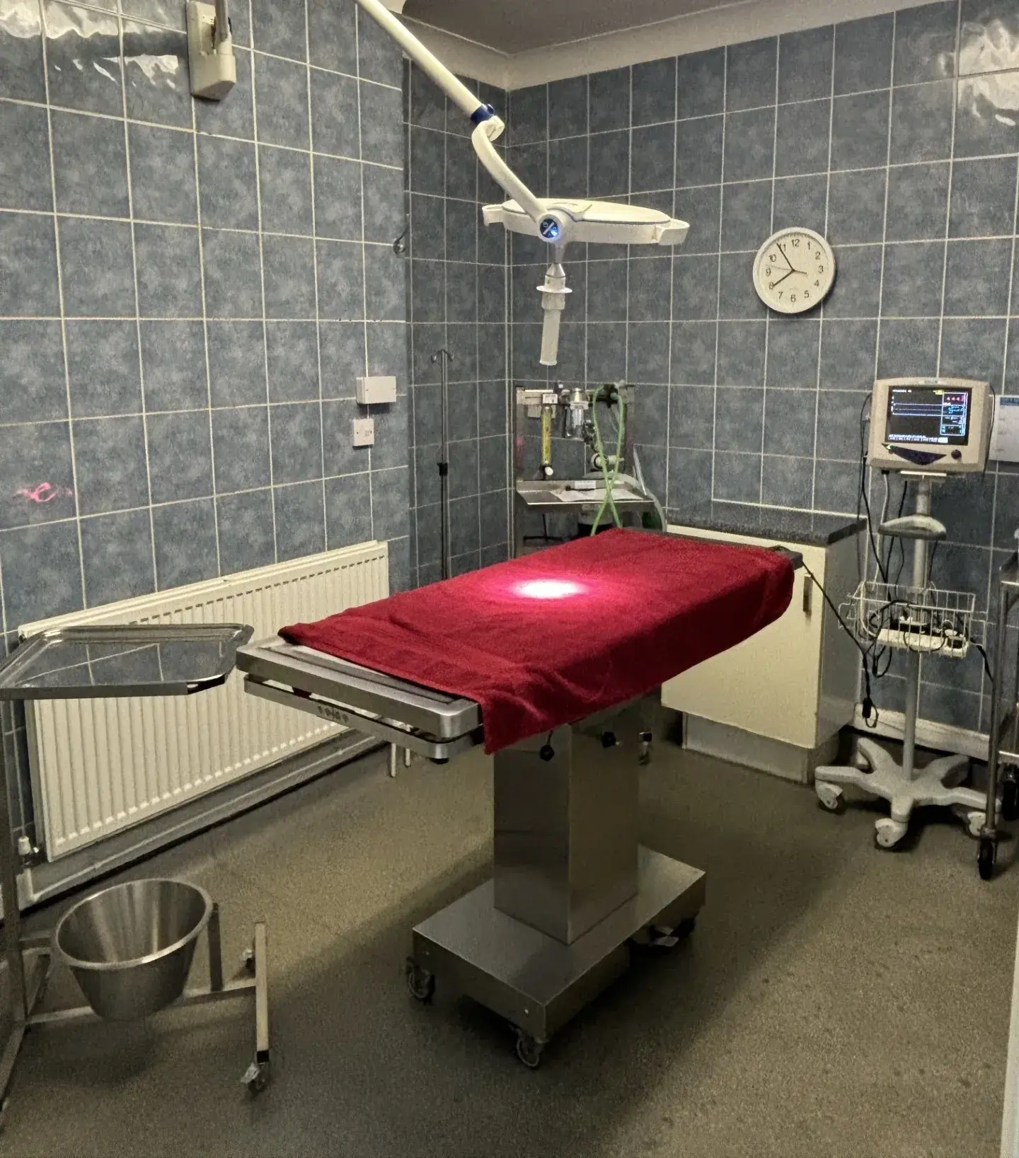 Anwell Veterinary Centre - Caterham practice photo 2