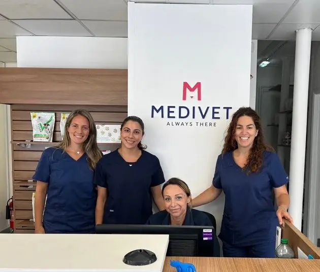 Medivet - Barnes White Hart Lane practice photo