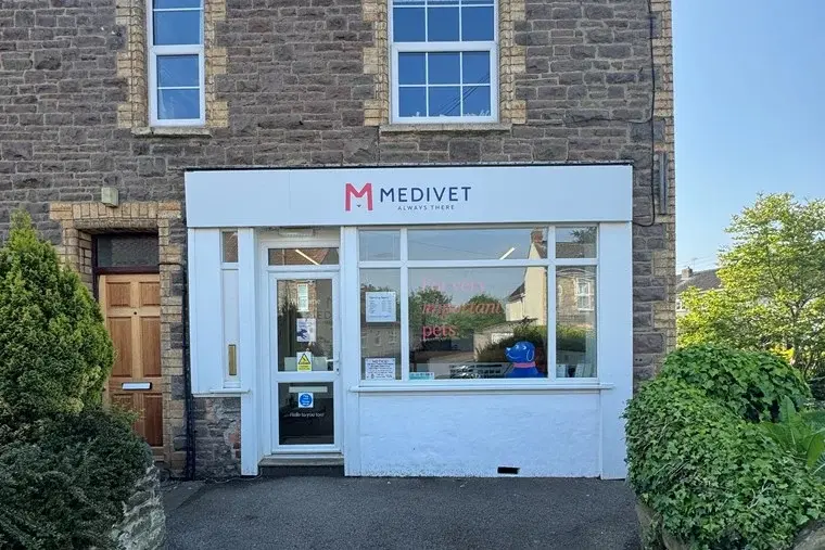 Medivet - Oldland Common (Oldland Common Veterinary Surgery) practice photo
