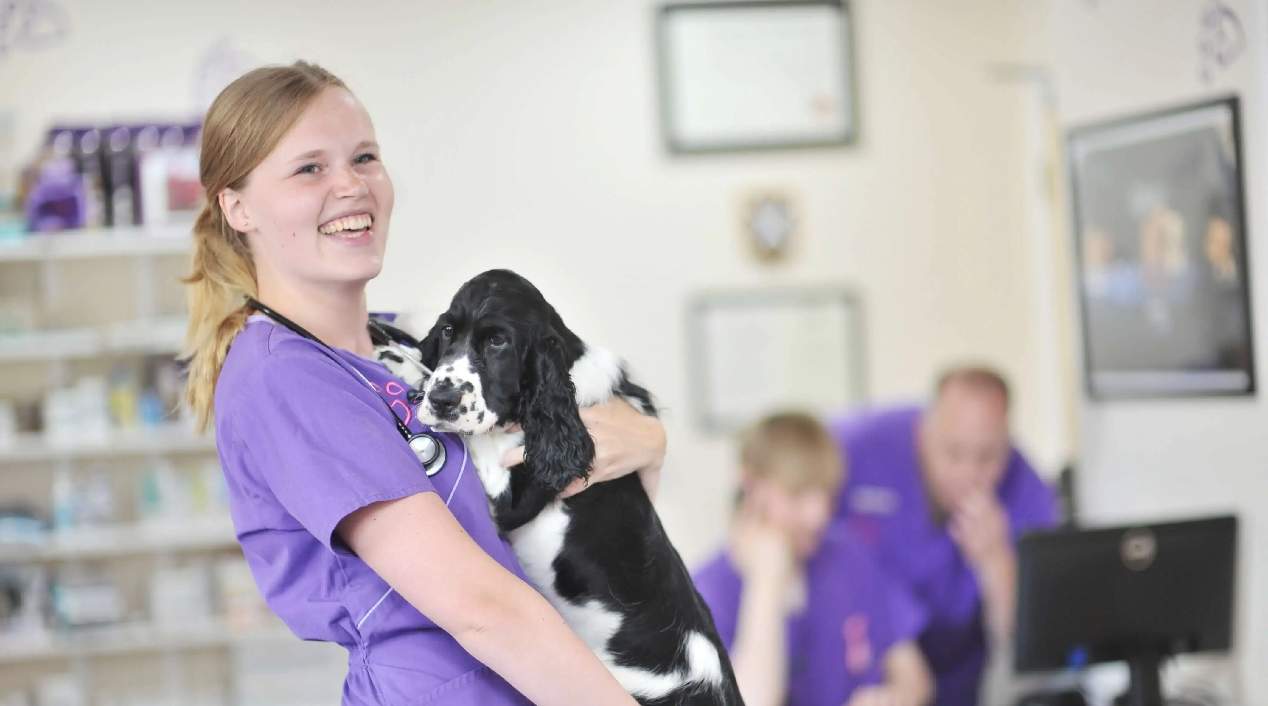 Hythe Vet Centre practice photo