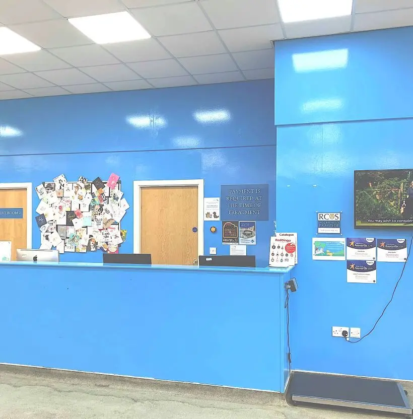 Animal Trust - Failsworth practice photo