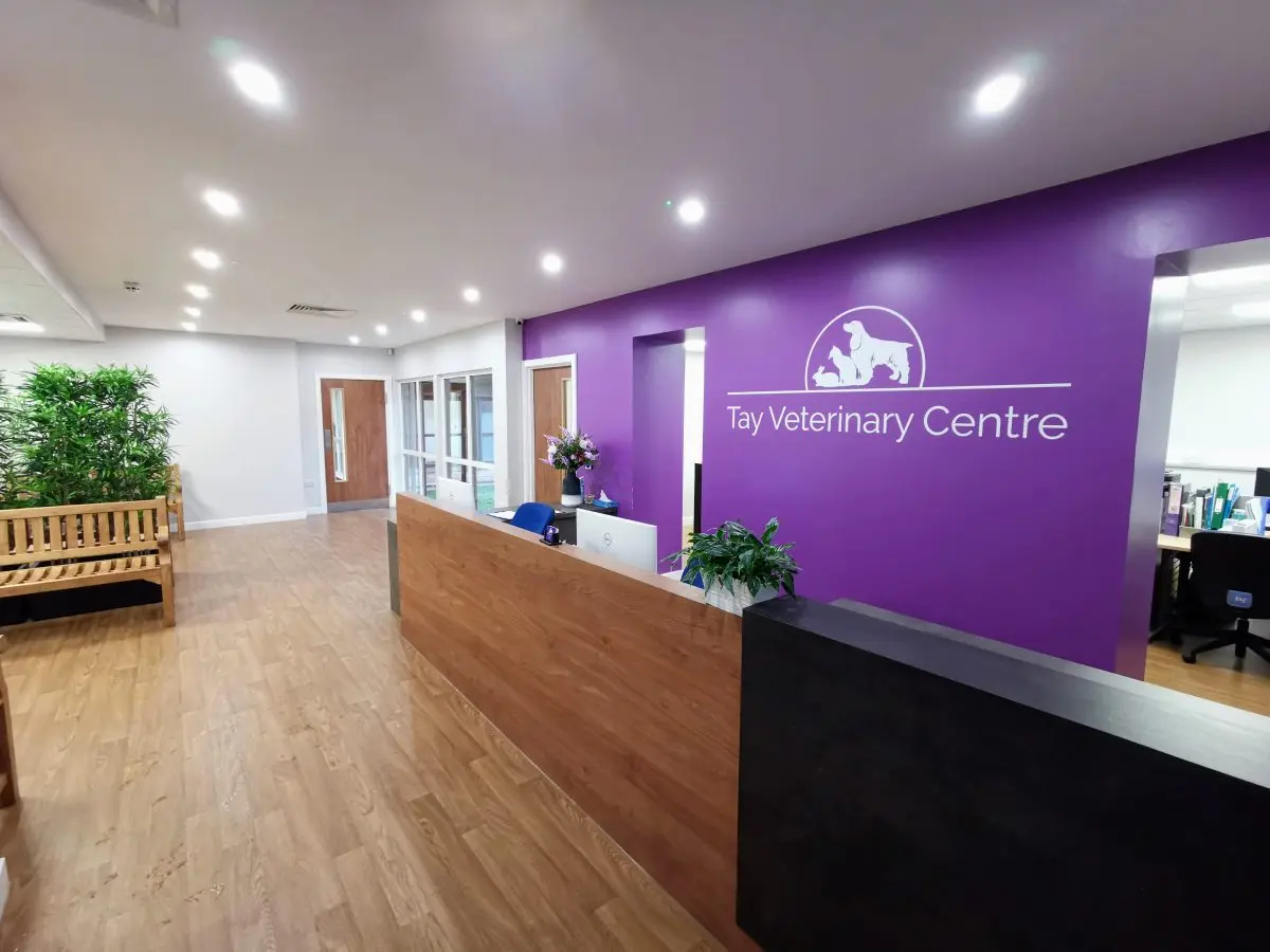 Tay Veterinary Centre practice photo