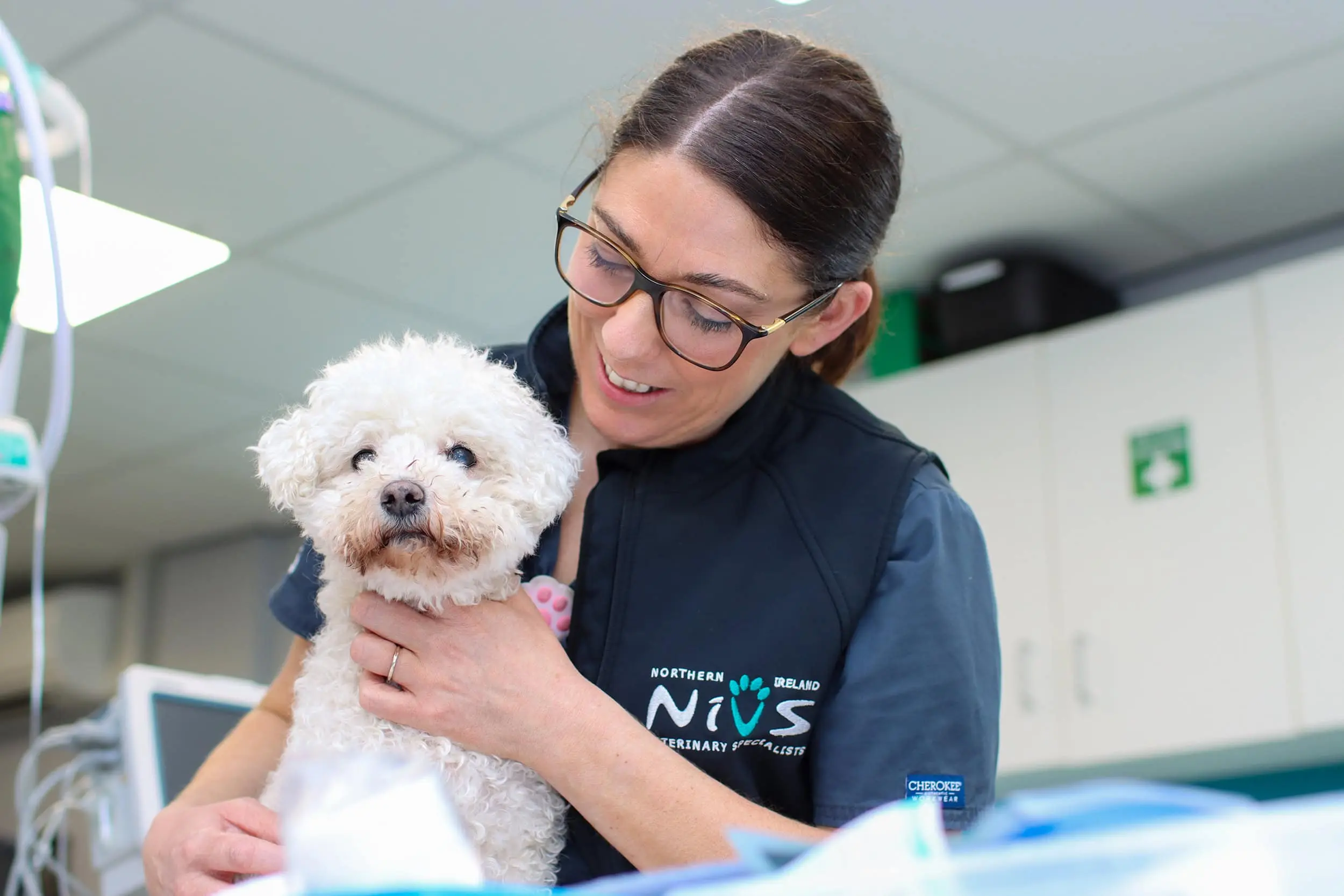 Northern Ireland Veterinary Specialists practice photo