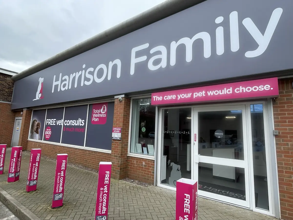 Harrison Family Vets - Longton practice photo