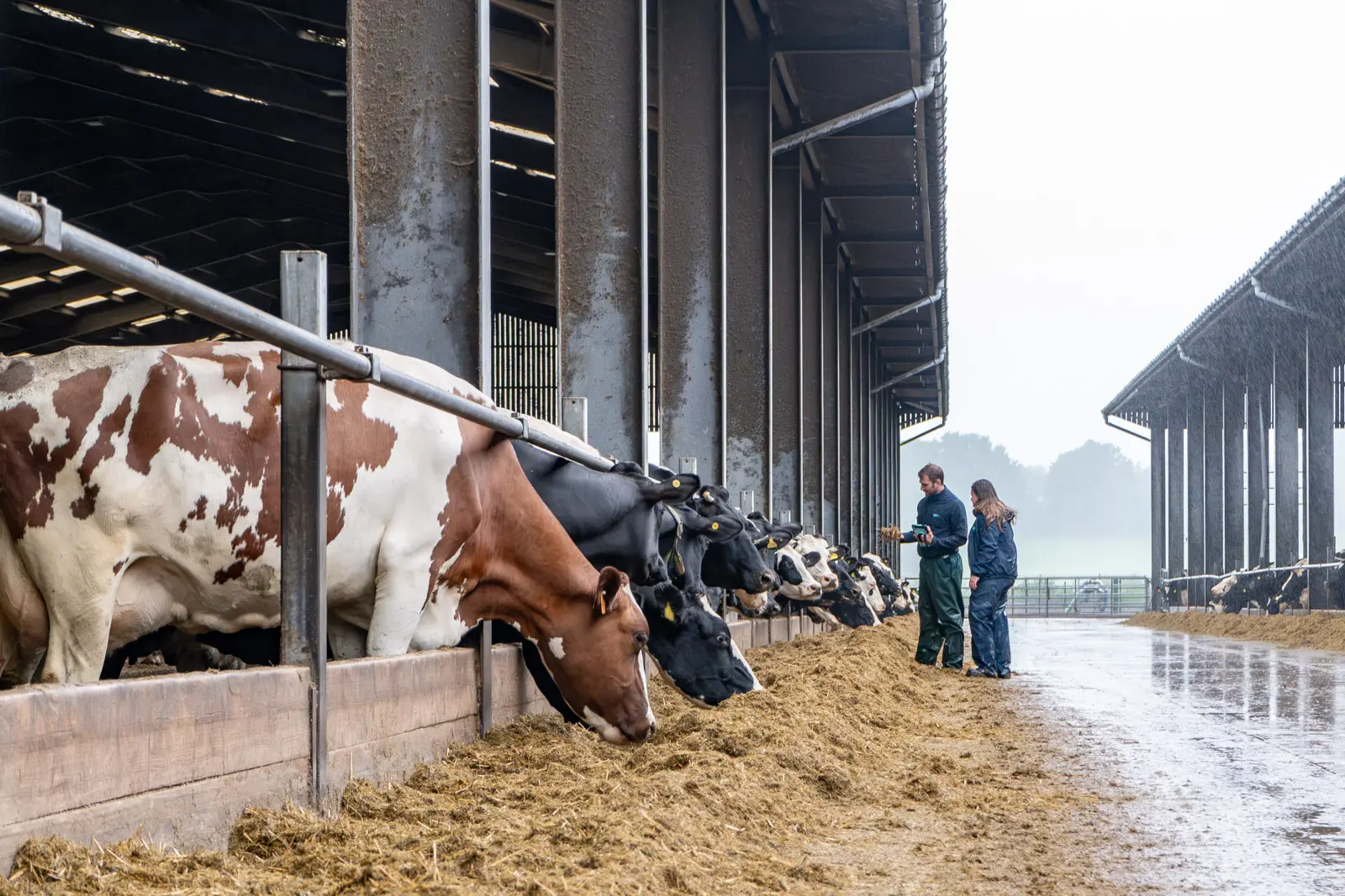 Frome Farm Vets practice photo