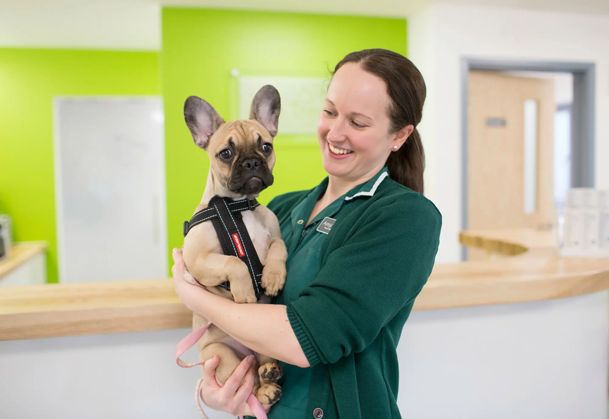 Ash Tree Veterinary Centre practice photo 2