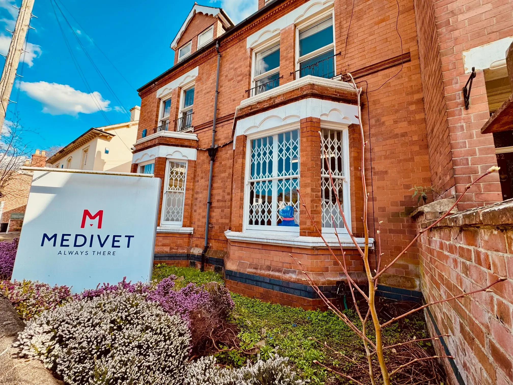 Medivet - Loughborough practice photo
