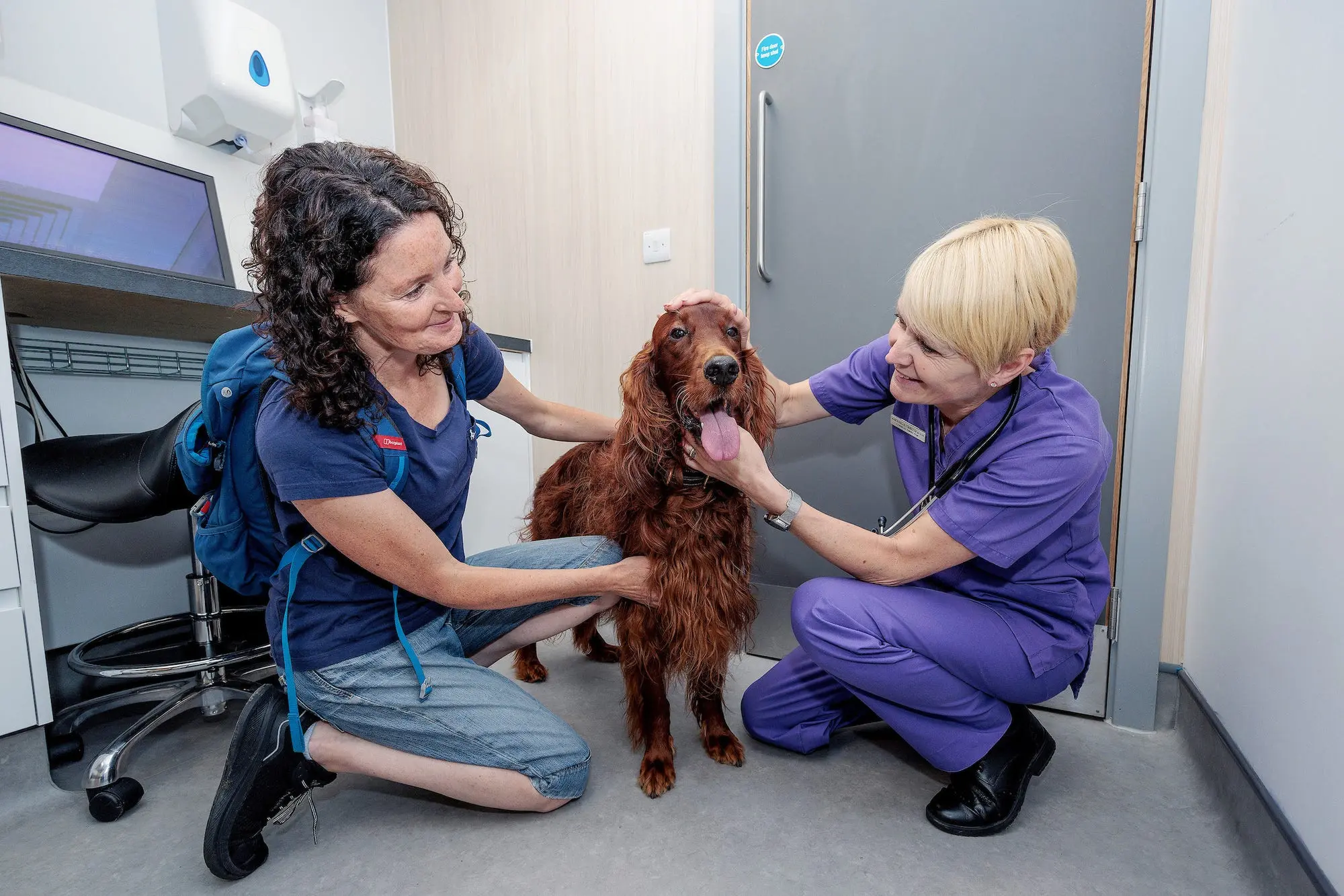 Gourley Veterinary Centre Ashton Under Lyne practice photo