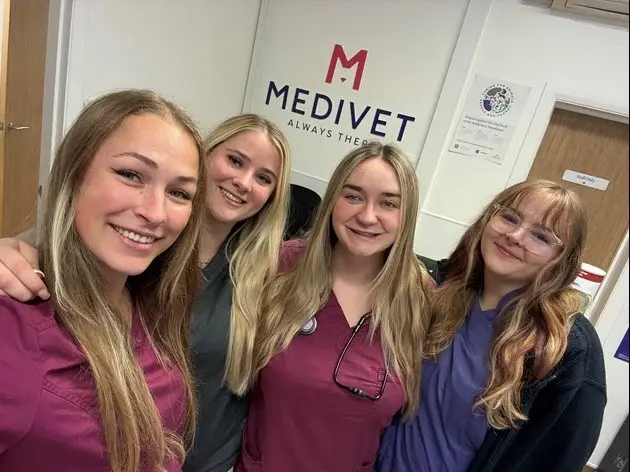 Medivet - Epsom Fir Tree Road (Bridge Veterinary Surgery) practice photo 2